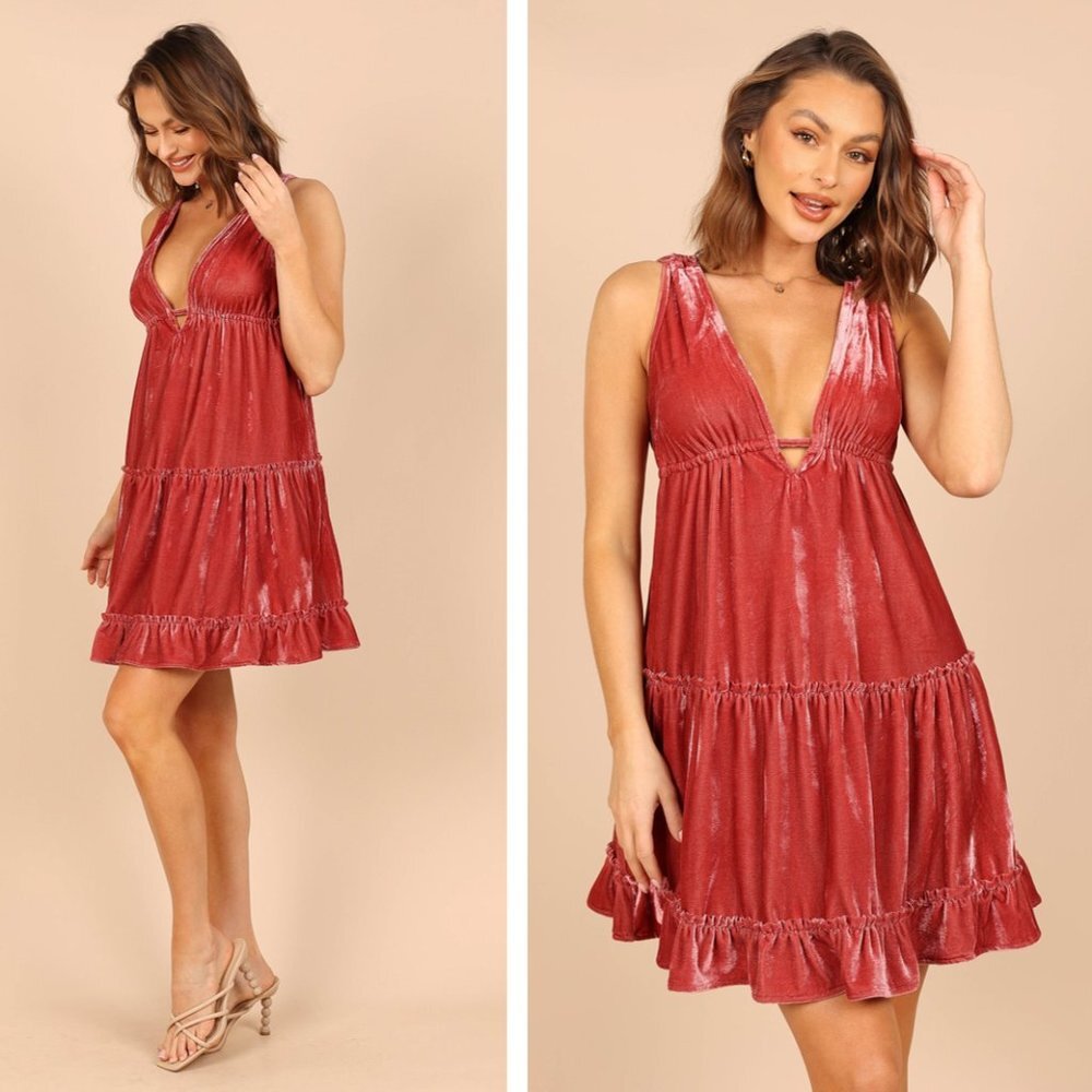 Petal & Pup Rose Red Velvet Mini Dress